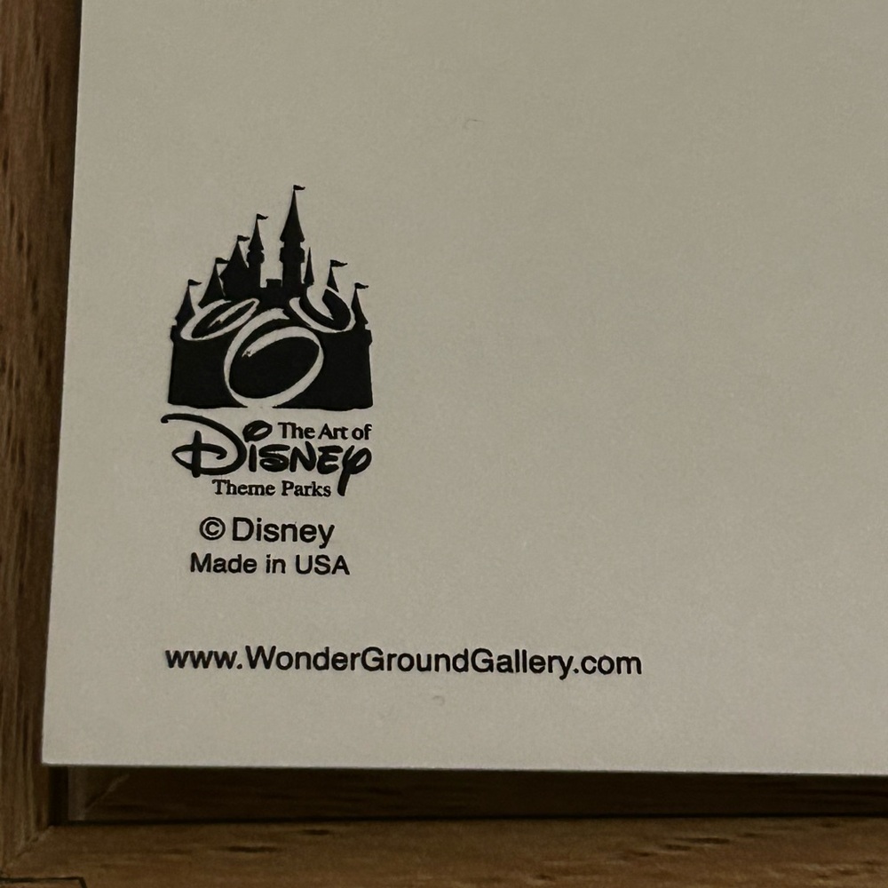 Disney Wonderground Country Bears Framed Art - Picture 5 of 5